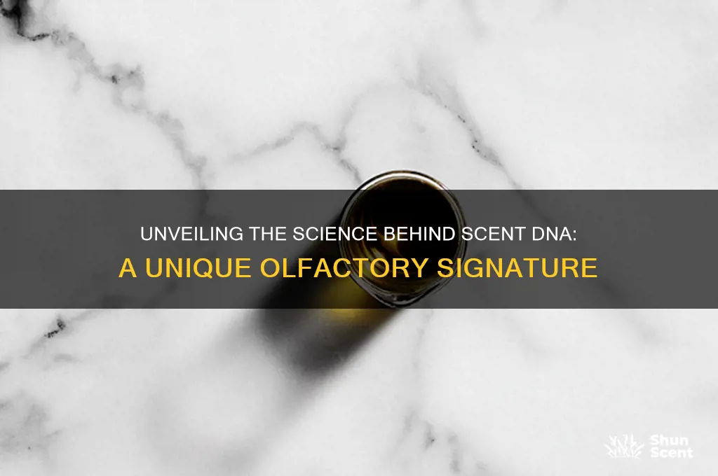 what is scent dna