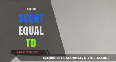 Exploring the Science: What Does Scent Equal in Our Lives?