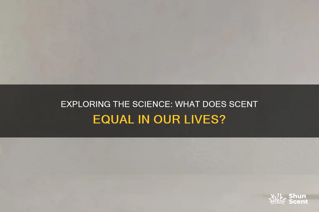 what is scent equal to