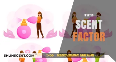 Understanding the Scent Factor: How Fragrance Influences Perception and Behavior