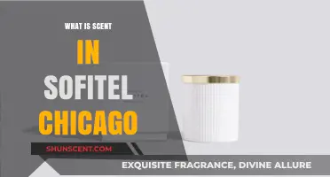 Exploring Sofitel Chicago's Signature Scent: A Luxurious Aromatic Experience
