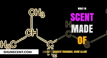 Unveiling the Chemistry: What Ingredients Compose a Scent?