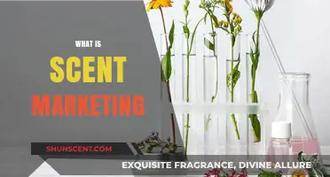 Unleashing the Power of Scent Marketing: A Comprehensive Guide