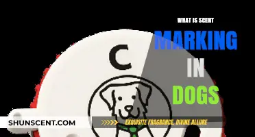 Understanding Scent Marking in Dogs: Why and How They Do It