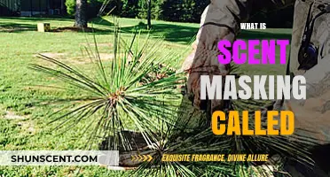 Understanding Scent Masking: The Science Behind Odor Neutralization Techniques