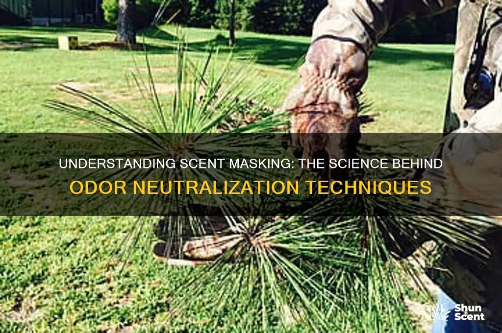what is scent masking called