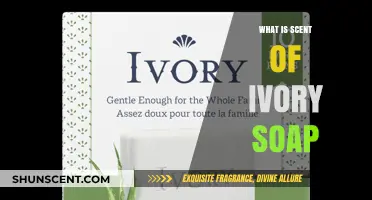 Unveiling the Fresh, Clean Aroma of Ivory Soap: What's the Scent?