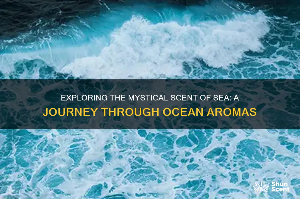what is scent of sea