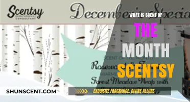 Discover Scentsy's Scent of the Month: A Fragrant Monthly Surprise
