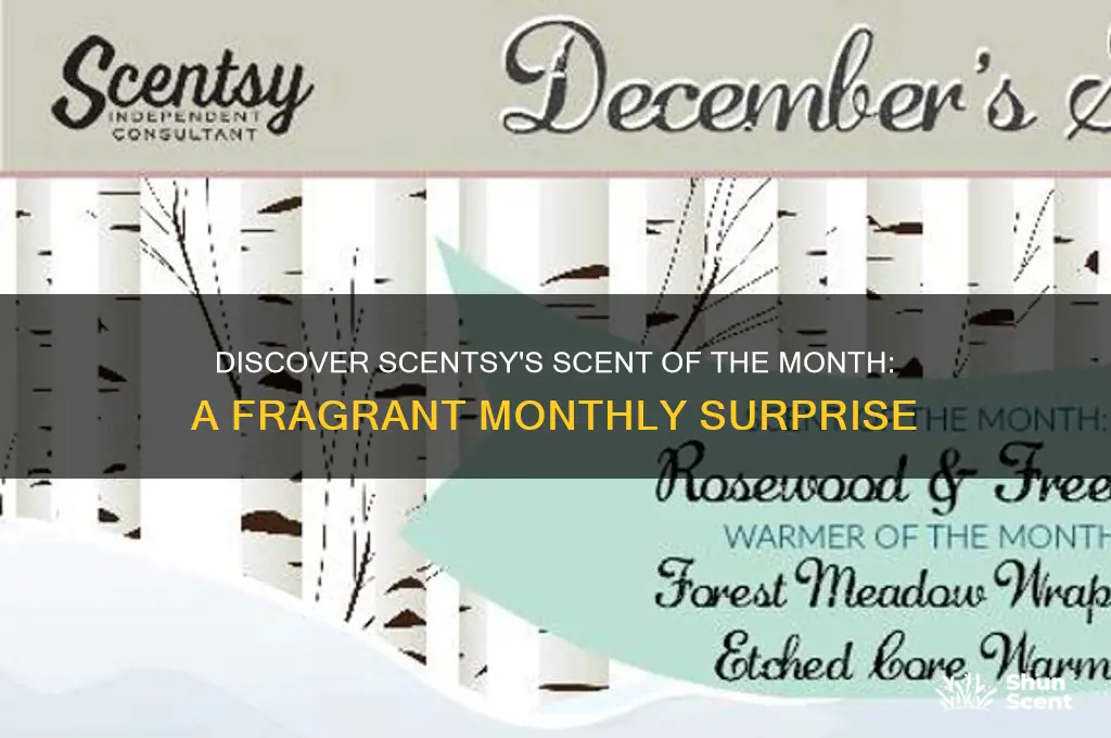 what is scent of the month scentsy