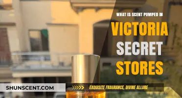 The Secret Scent: Victoria's Secret's Signature In-Store Fragrance