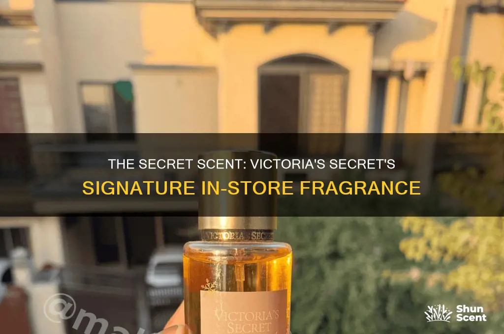 what is scent pumped in victoria secret stores