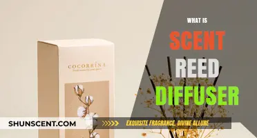 Discover the Magic of Scent Reed Diffusers: A Beginner's Guide