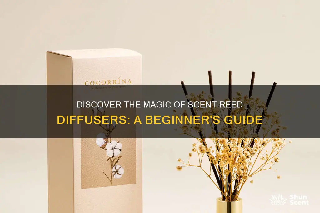what is scent reed diffuser