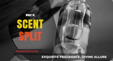Understanding Scent Split: A Revolutionary Fragrance Sampling Technique Explained