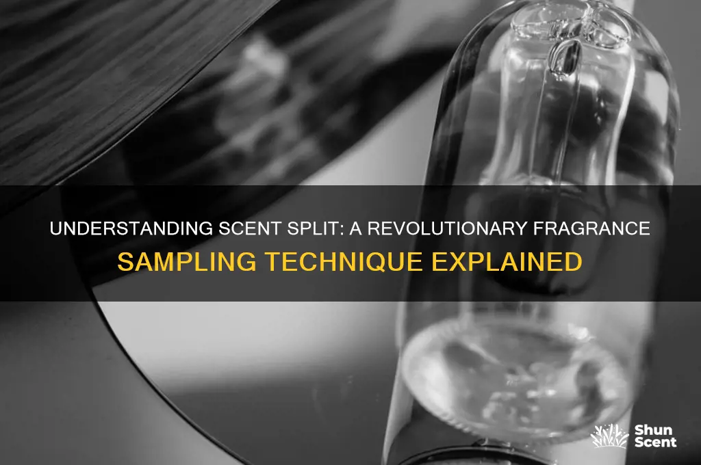 what is scent split