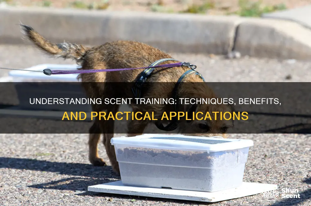 what is scent training