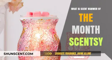 Discover Scentsy's Scent Warmer of the Month: A Fragrant Delight
