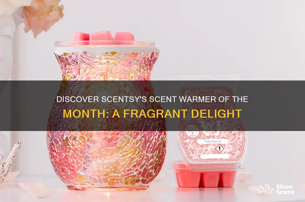 what is scent warmer of the month scentsy