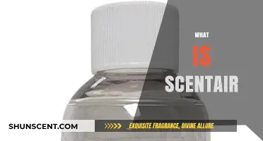 Discover ScentAir: The Science and Art of Ambient Fragrance Solutions