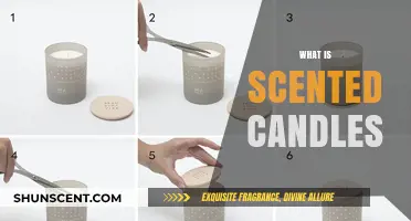 Discover the Aromatic World of Scented Candles: A Beginner's Guide