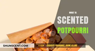 Discover the Aromatic World of Scented Potpourri: A Complete Guide