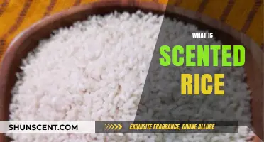 Exploring the Aromatic World of Scented Rice Varieties and Uses