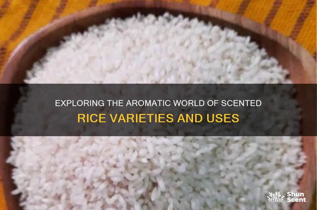 what is scented rice