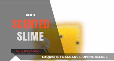 Exploring Scented Slime: Aromatic, Tactile Fun for All Ages