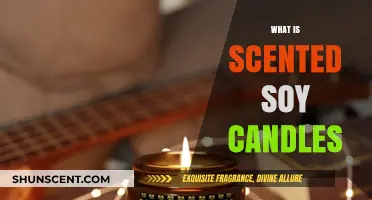 Discover the Aromatic World of Scented Soy Candles