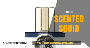 Unveiling the Aromatic Mystery: What is Scented Squid?