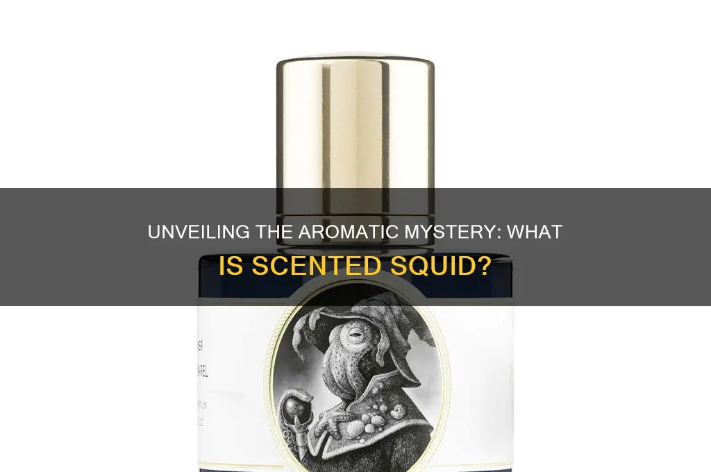 what is scented squid