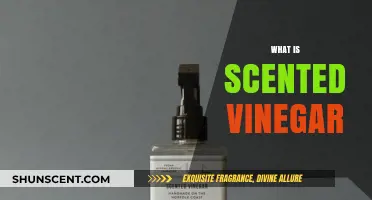 Discover the Magic of Scented Vinegar: Uses and Benefits