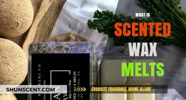 Discover the Aromatic World of Scented Wax Melts