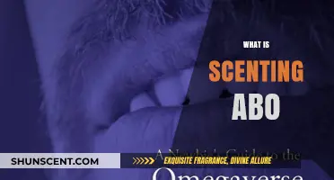Understanding Scenting ABO: A Comprehensive Guide to Its Meaning and Uses