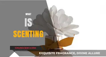 Understanding Scenting: The Art and Science of Fragrance Diffusion