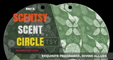 Discover Scentsy Scent Circles: Long-Lasting Fragrance for Your Car