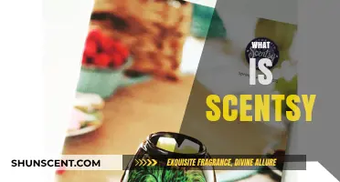 Discover Scentsy: A Guide to Wickless Candles and Fragrance