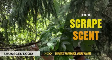 Understanding Scrape Scent: Its Role, Uses, and Importance in Nature