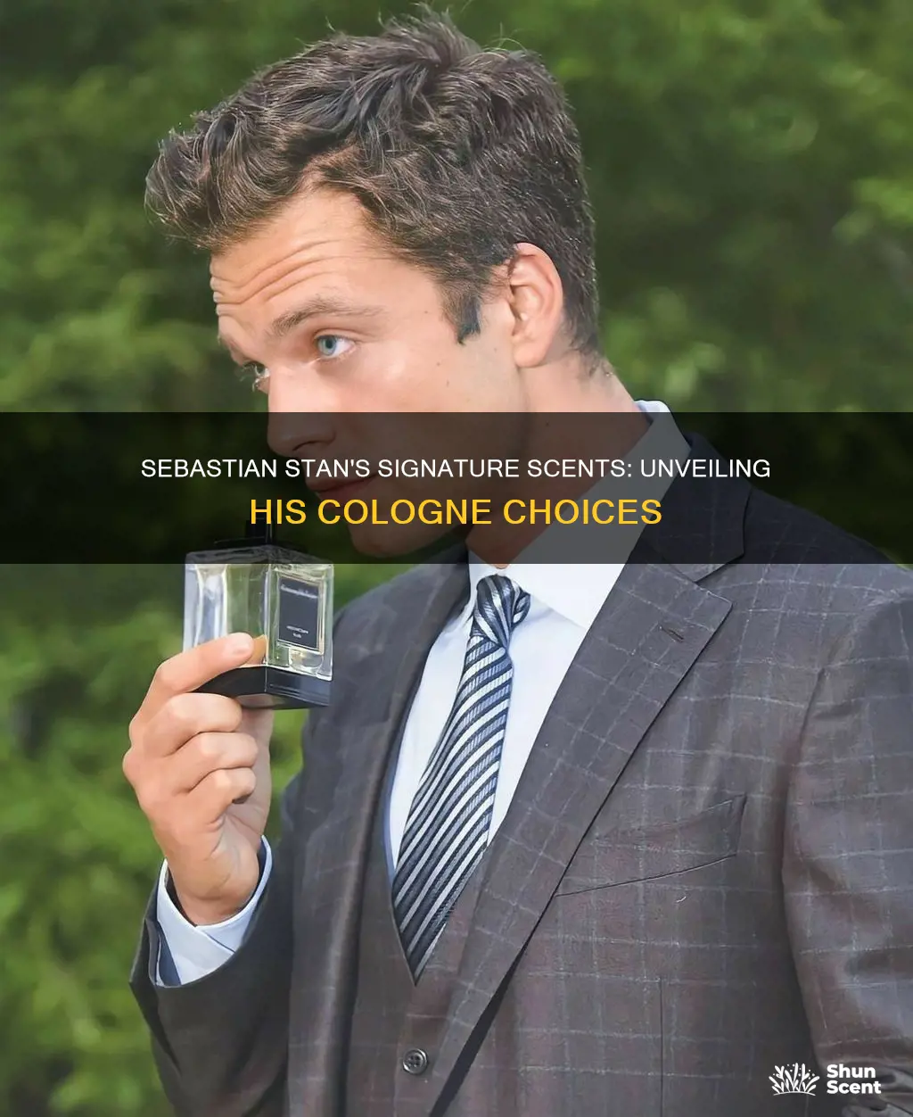 what is sebastian stan cologne