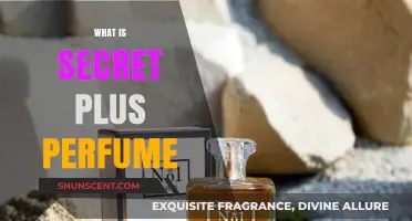The Secret Plus Perfume: Unlocking the Mystery