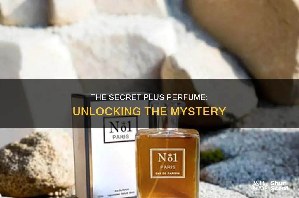 what is secret plus perfume