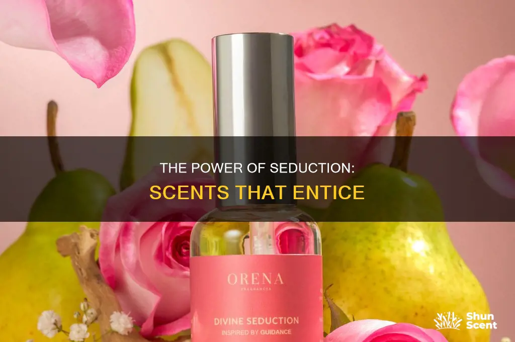 what is seduction perfume