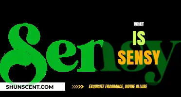 Understanding Sensy: A Comprehensive Guide to Its Features and Benefits