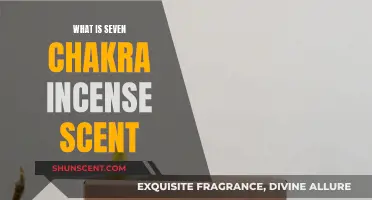 Chakra Incense Scents: 7 Aromas for Spiritual Awakening