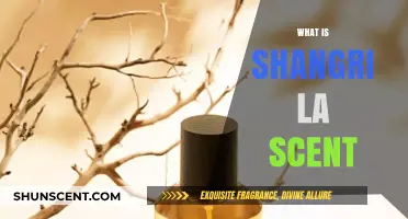Discover the Mystical Shangri La Scent: A Fragrant Escape