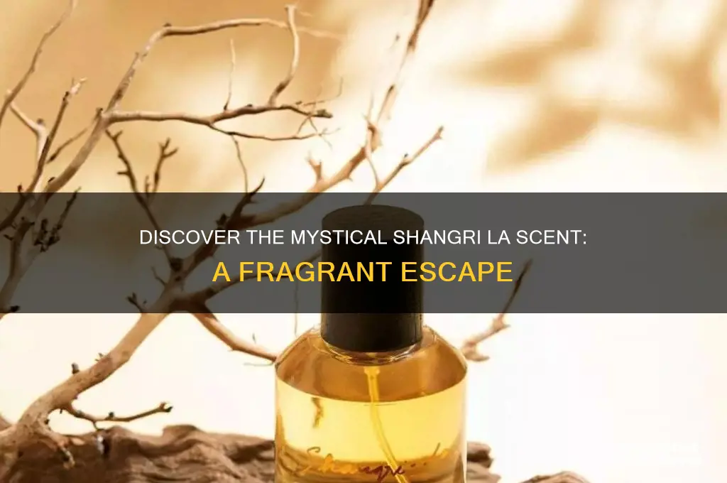 what is shangri la scent