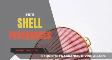 Shell Fragrances: A Natural Aromatic Experience