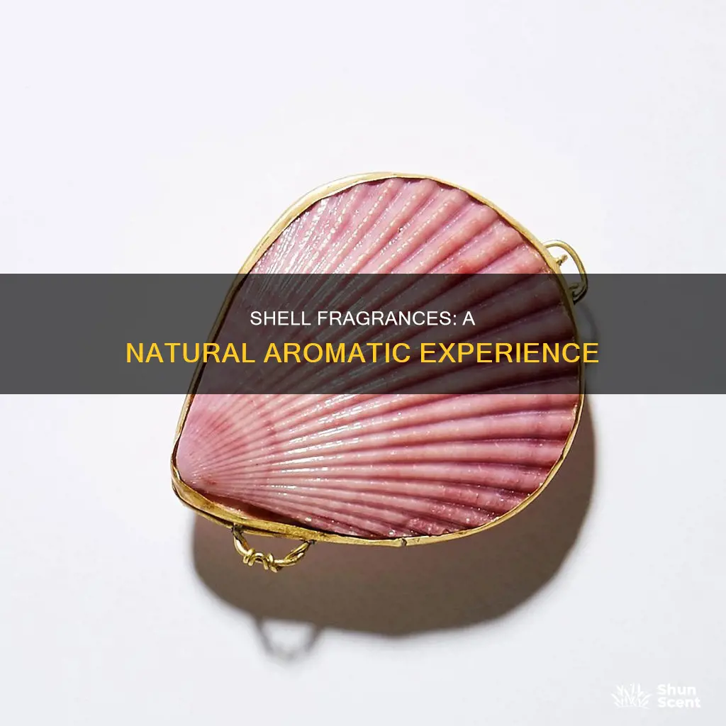 what is shell fragrances