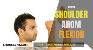 Shoulder Arom Flexion: Understanding the Basics